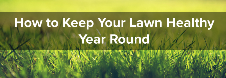 Tips for keeping a lawn healthy all year