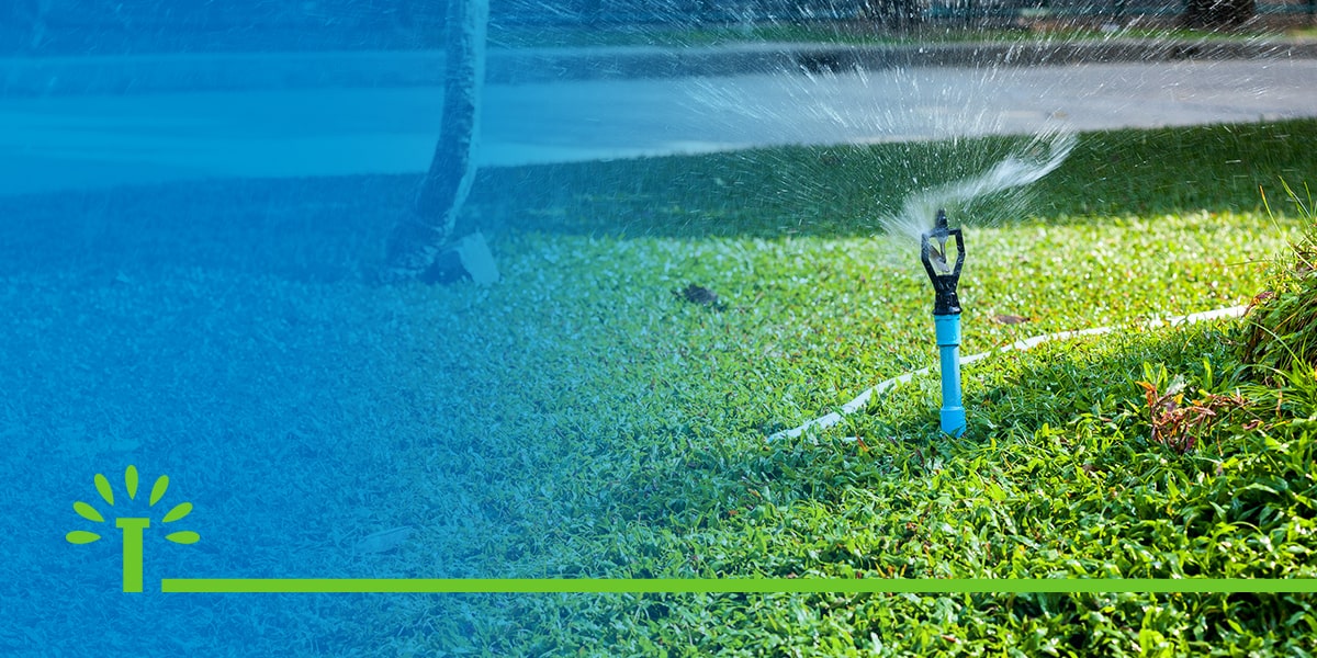 Preventing Broken Sprinkler Heads: What You Need to Know